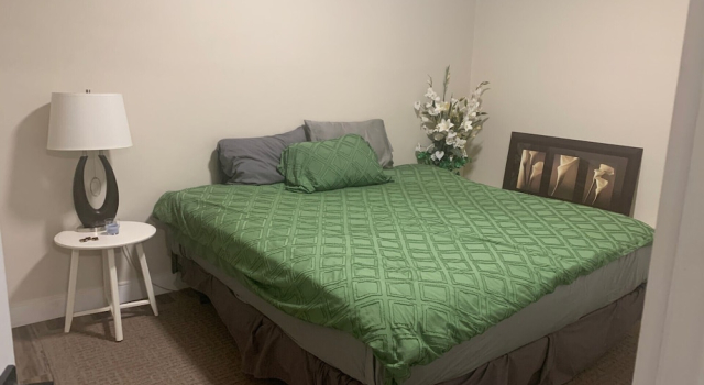 Renovated 2 Bedroom Apt Central Hamilton, Varaa Hotelli Hamilton 