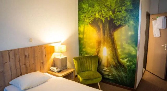Одноместный номер Standard Forest Hotel