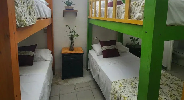 Кровать в общем номере Teocalli Hostel