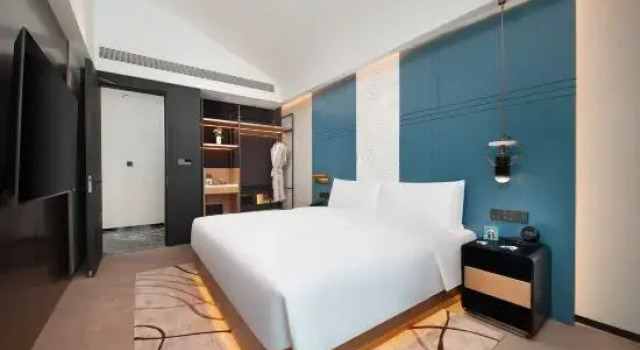 Двухместный люкс с видом на сад C3 Hotel Chengdu Tianfu Art Park (Chengdu Happy Valley)