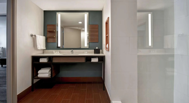 Двухместный люкс c 1 комнатой Hilton Garden Inn Houston/Galleria Area