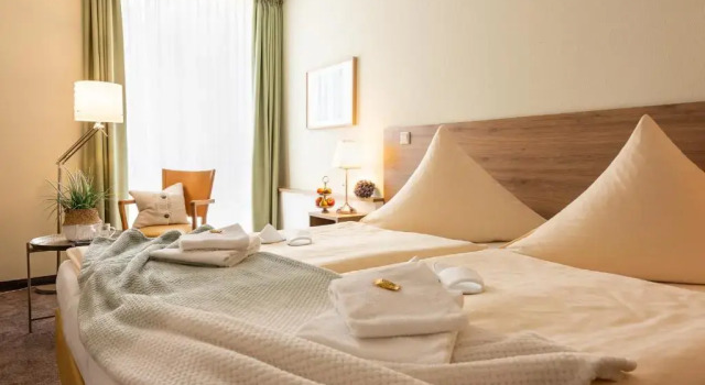 Двухместный номер Standard Hotel Nibelungen Hof