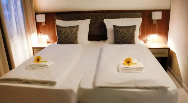 Двухместный номер Standard Anor Hotel & Conference Center Frankfurt Airport