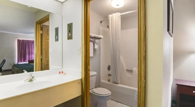Номер Standard Econo Lodge - Conyers