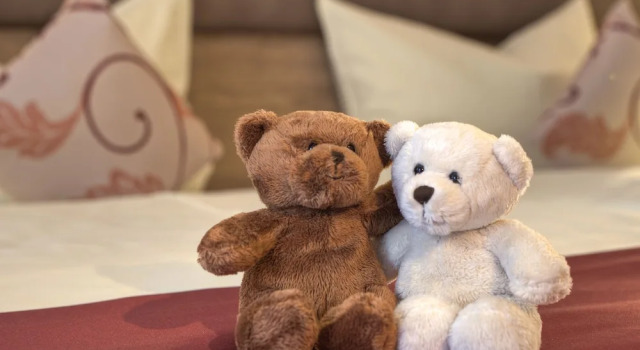 Номер Comfort Ströbinger Hof - Therme Wellness Resort