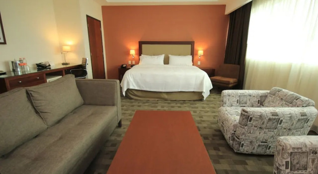 Двухместный люкс Holiday Inn Leon Plaza Mayor by IHG
