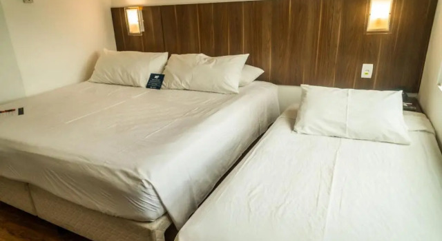 Номер Standard Firenze Business Hotel
