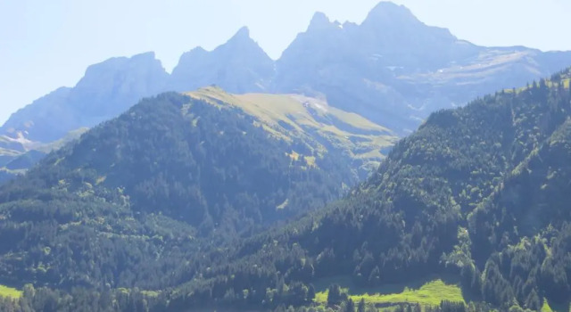 Номер Comfort Hotel Suisse