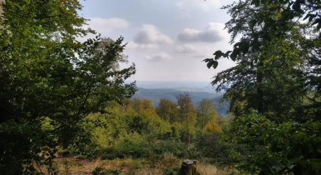 Апартаменты Villa Hinterland