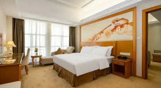 Люкс Deluxe Vienna Hotel Shenzhen Shiyan Bus Station