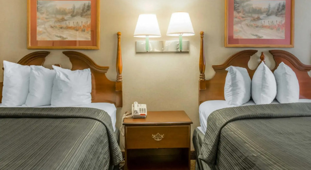 Четырёхместный номер Standard Quality Inn Reidsville Hwy 29