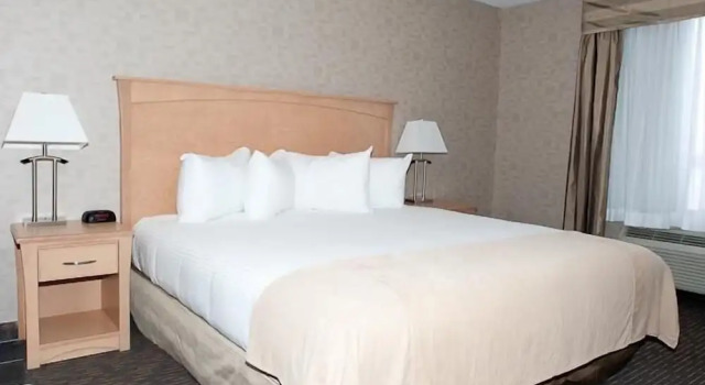 Номер Standard Paradise Inn and Suites