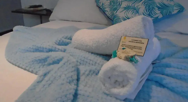 Семейный номер Standard Llano Dorado Hotel Campestre