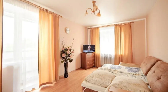 Apartment on Alliluyeva 12a-26