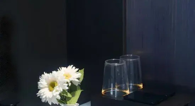 Doppel Suite Monet hotels