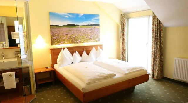 Двухместный номер Standard Hotel & Restaurant Stern