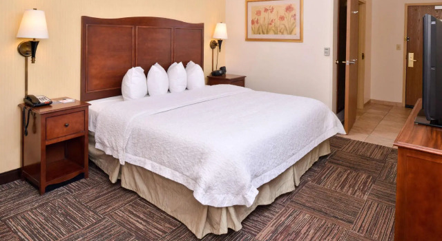 Двухместный номер Standard Hampton Inn Elkhart