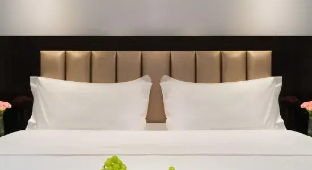 Люкс Bullton Hotel (Zunyi Station Conference Site)