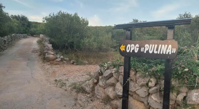 Коттедж Holiday House Pulina