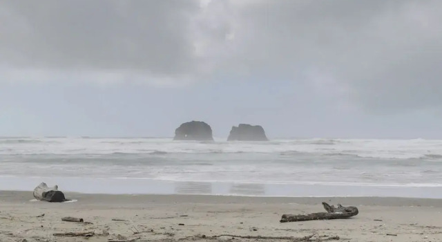Коттедж 1 Block to Twin Rocks Beach: Pet-friendly Cottage