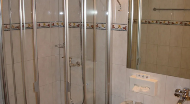 Номер Standard Hotel Garni Hostatt