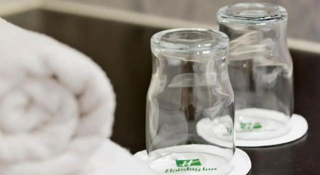 Двухместный номер Standard с видом на сад Holiday Inn Vienna City by IHG