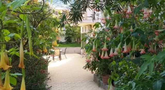 Vanna's Apartments, Prenota Appartamento South Kynouria Grecia