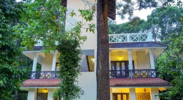 Hotel Treetop