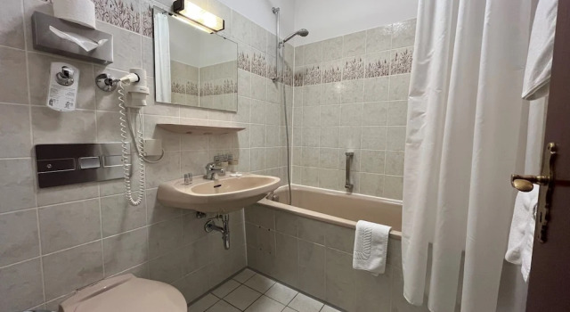 Двухместный номер Economy Hotel Garni Geisler