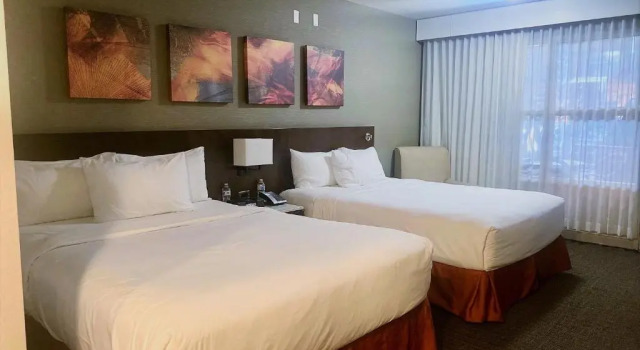 Deluxe Vierer Zimmer mit Poolblick Delta Hotels by Marriott Calgary South