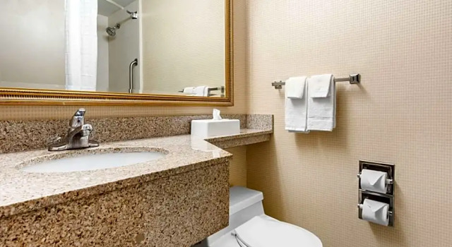 Люкс Quality Inn & Suites Charleston - Civic Center
