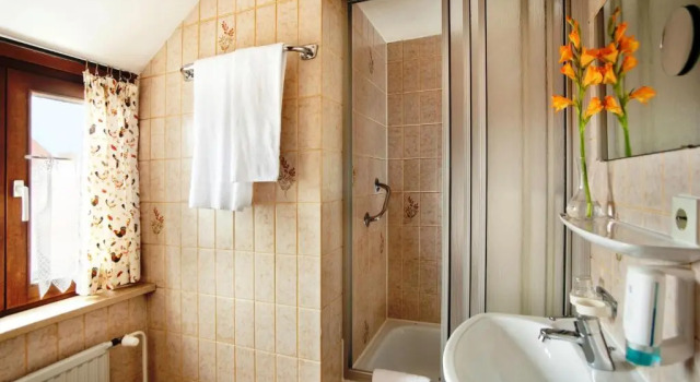 Номер Standard Hotel Hahn