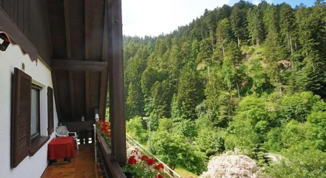 Ferienwohnung Busch