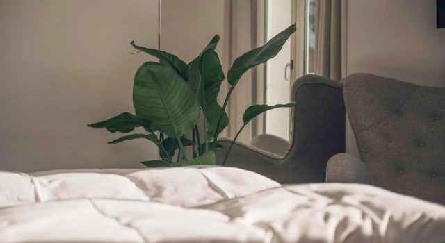 Brobyværk Kro, Prenota Hotel Broby 