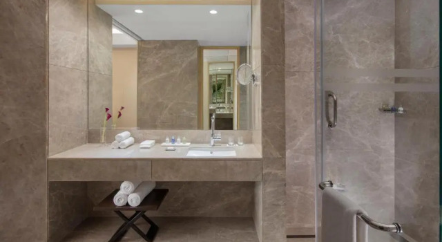 Номер Standard Radisson Blu Faridabad