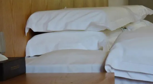 Suite Hemu Hotel