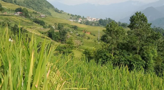 Номер Standard Mys Homestay sapa