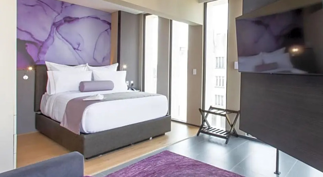 Люкс Superior HS HOTSSON CDMX Condesa Sur