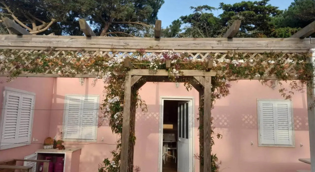 Casa dos Malmequeres