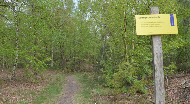 Коттедж Forest Retreat Near Kempen-Broek