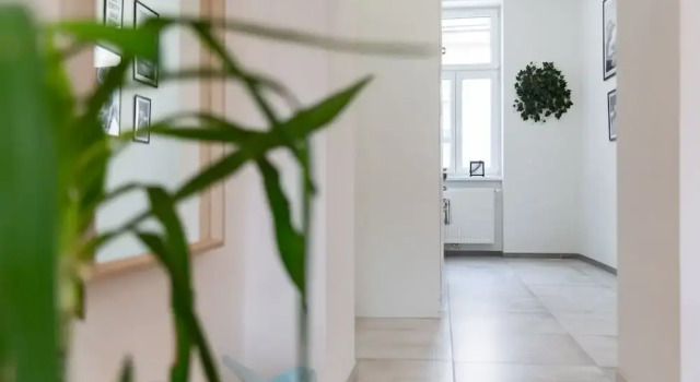 Апартаменты Deluxe Schönbrunn City Apartment is calling