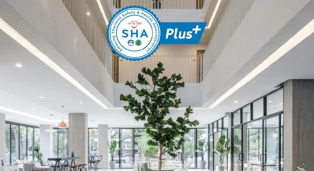 Номер Standard Tree Tara hotel