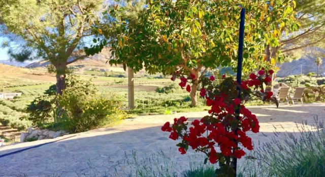 Апартаменты Agriturismo Casebianche