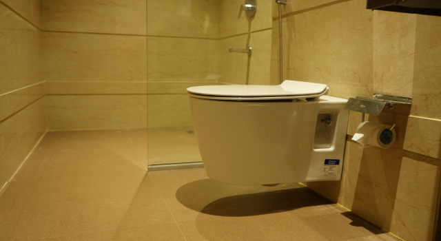 Номер Deluxe Alaukik Hotel