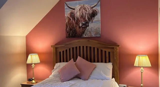 Двухместный номер Standard Shenavallie Bed & Breakfast and self catering
