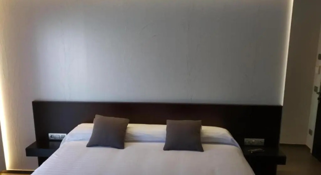 Номер Economy Hotel Olot Centre