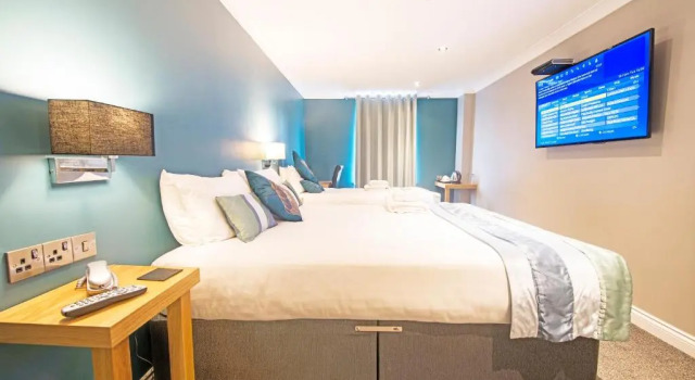 Номер Standard Dolphin Rooms