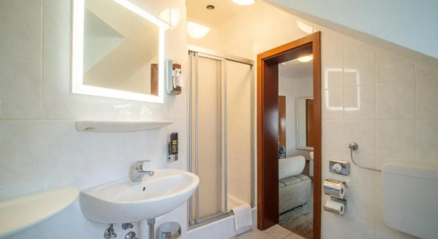 Трёхместный номер Standard Hotel Krone