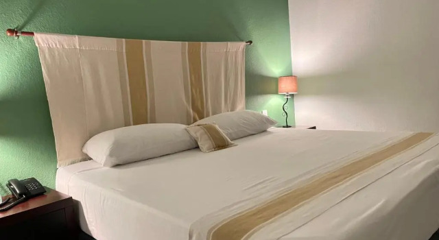 Suite Nueve Agaves Hotel