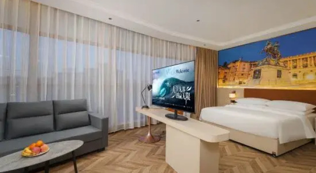 Люкс Deluxe Vienna Hotel (Laoling Ginza Mall)